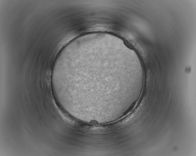 X0000094451233200711291652