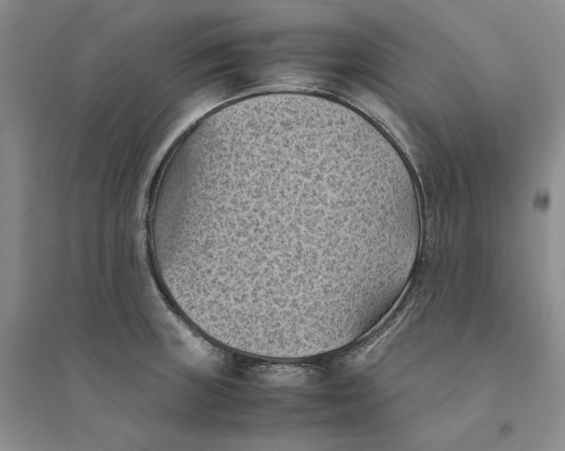 X0000094451235200711291652