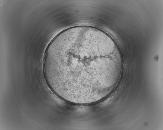 X0000094451236200711291652