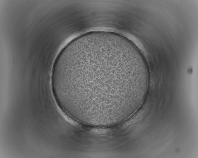 X0000094451237200711291652