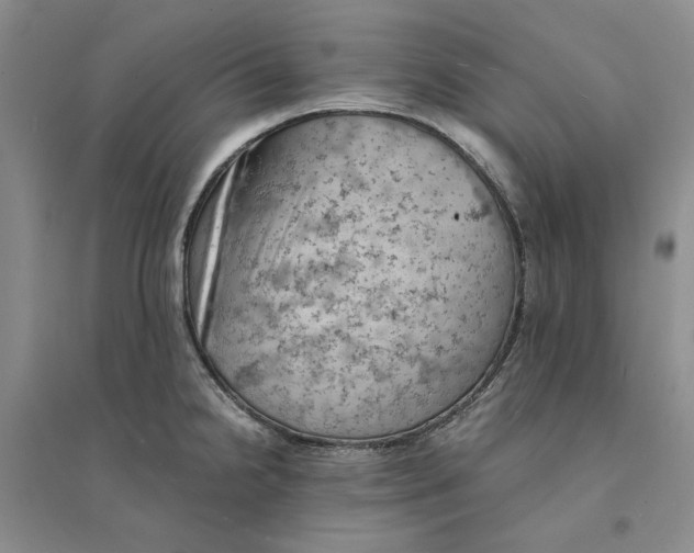 X0000094451238200711291652