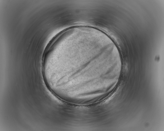 X0000094451239200711291652