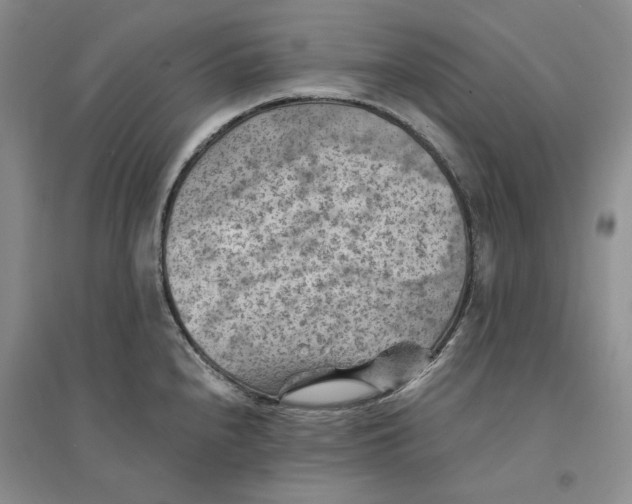 X0000094451240200711291652