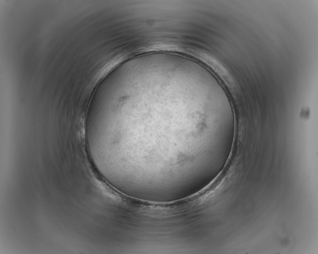 X0000094451241200711291652