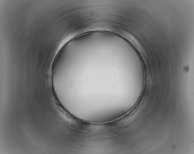 X0000094451242200711291652