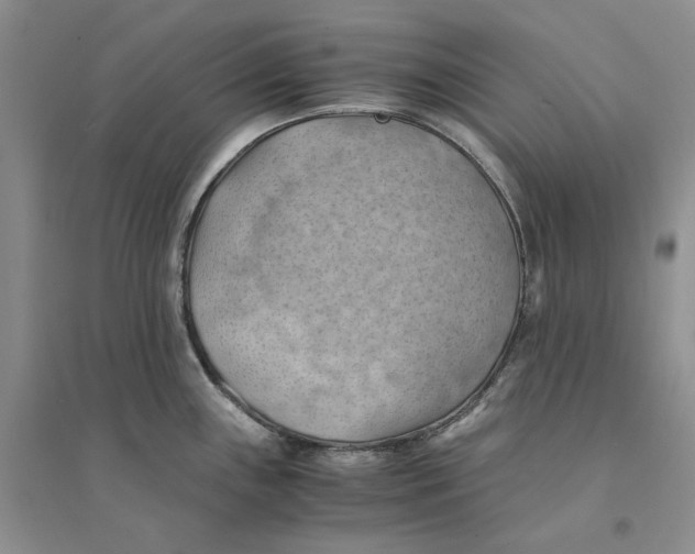 X0000094451243200711291652