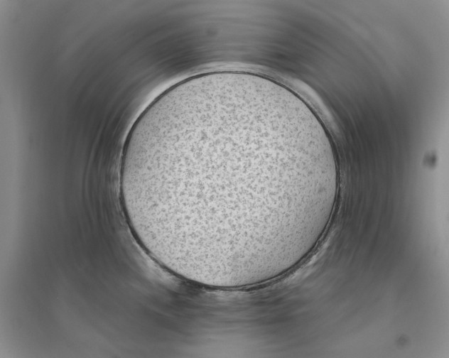 X0000094451244200711291652