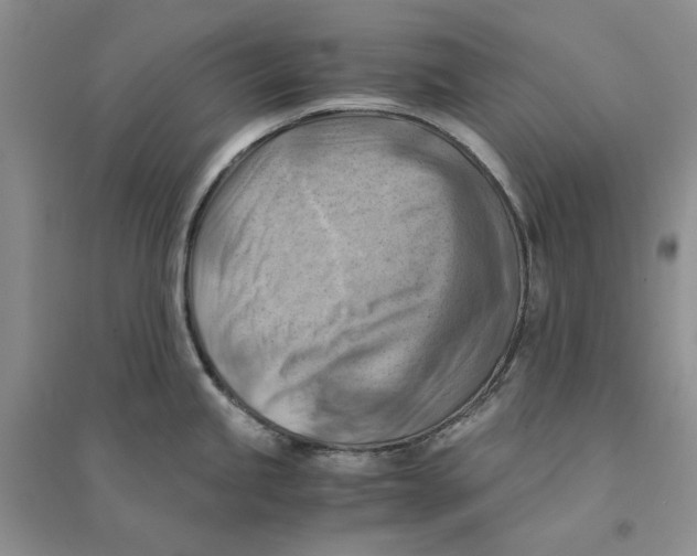 X0000094451245200711291652