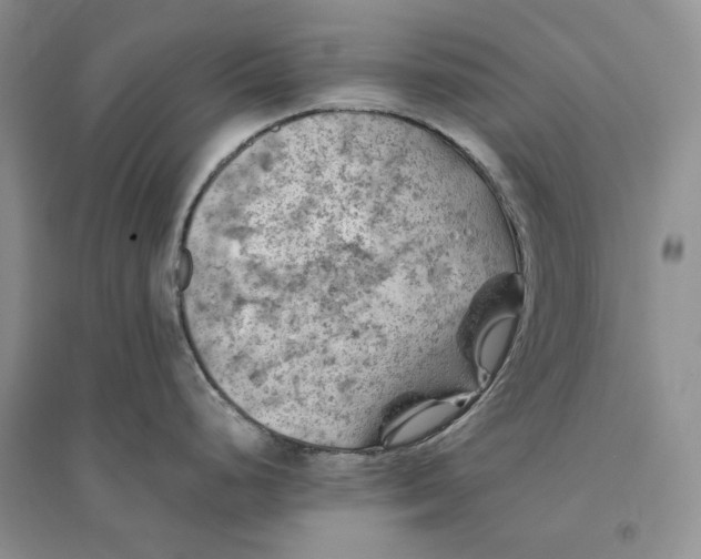 X0000094451248200711291652