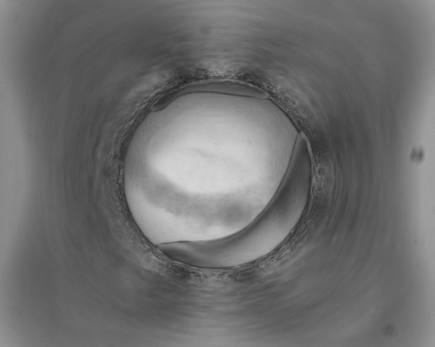 X0000094451249200711291651