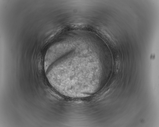 X0000094451250200711291651