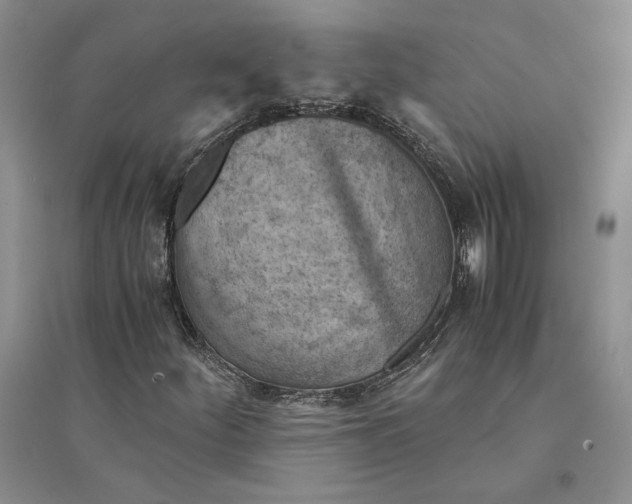 X0000094451252200711291651