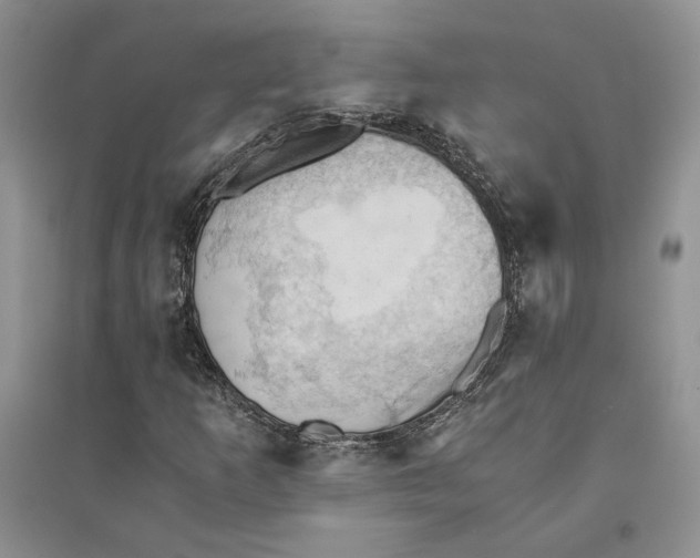 X0000094451253200711291651