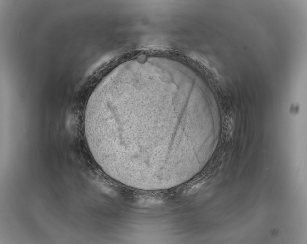 X0000094451254200711291651