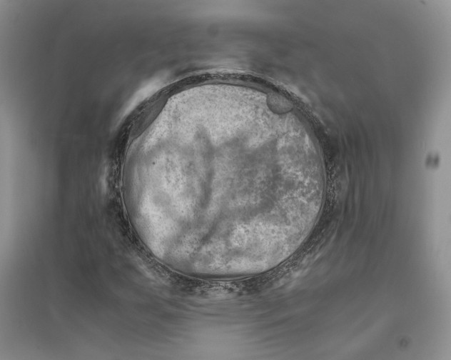 X0000094451255200711291651