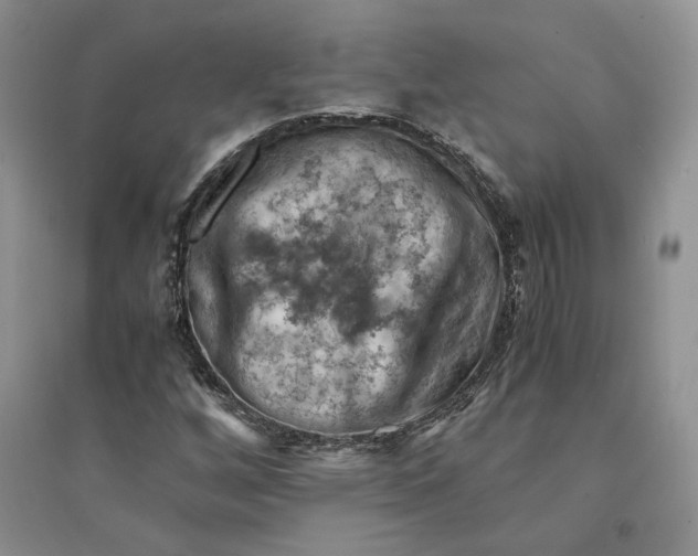 X0000094451256200711291651