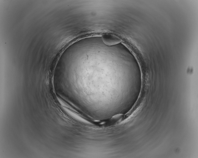 X0000094451257200711291651