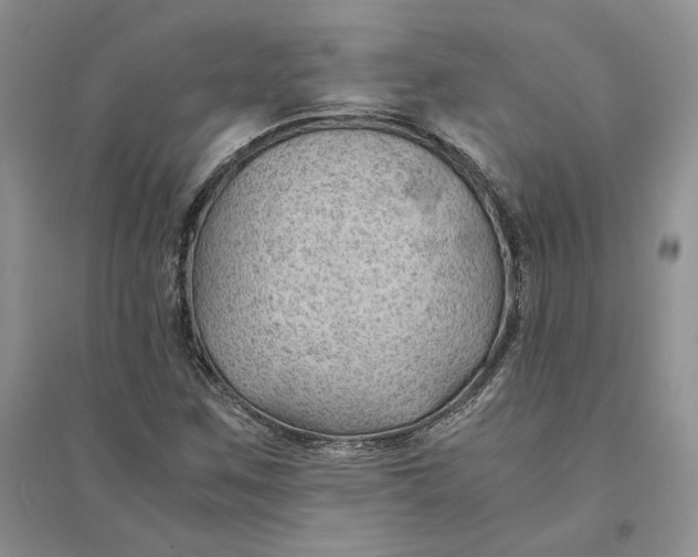 X0000094451259200711291651