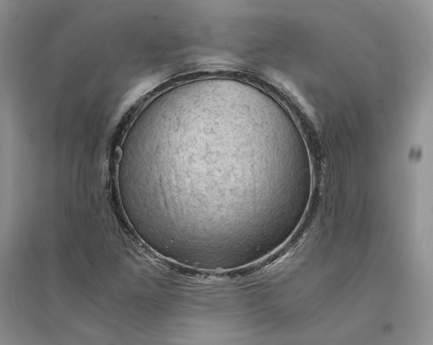 X0000094451261200711291651