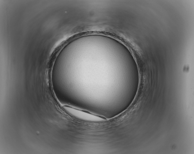 X0000094451262200711291651