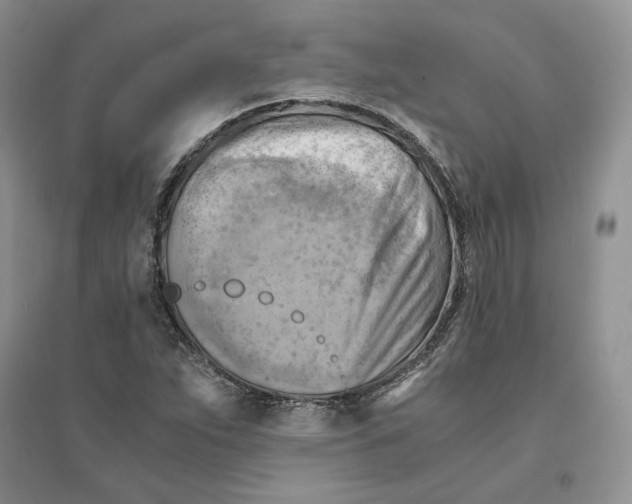 X0000094451263200711291651