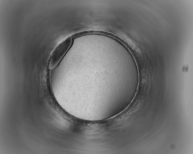 X0000094451264200711291651