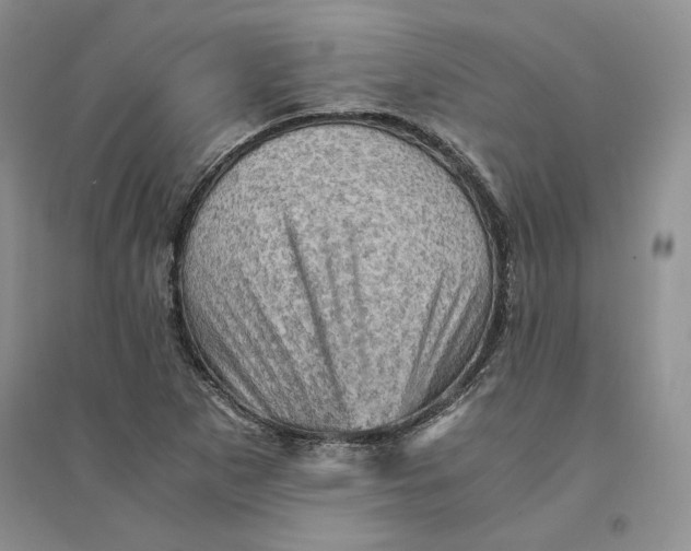 X0000094451265200711291651