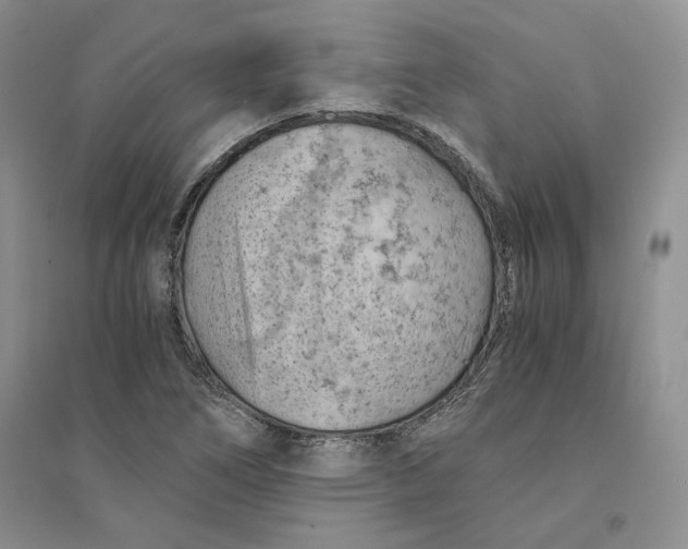 X0000094451266200711291651