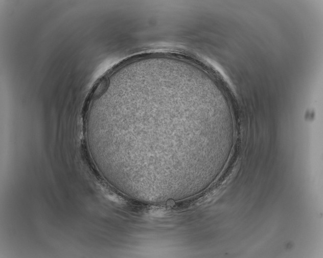 X0000094451267200711291651