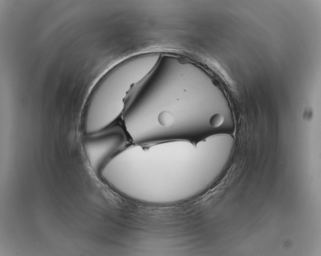 X0000094451268200711291651