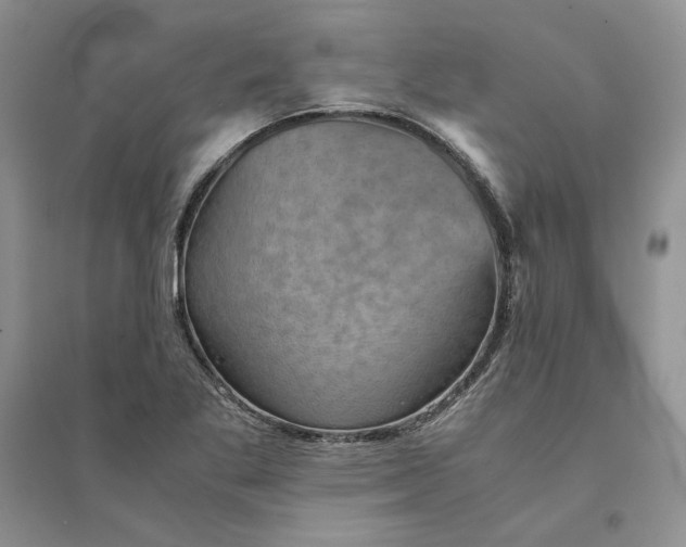 X0000094451269200711291651