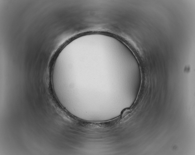 X0000094451270200711291651