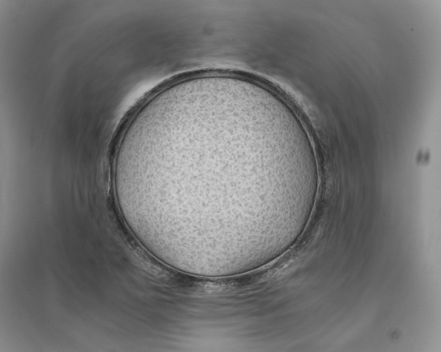 X0000094451271200711291651