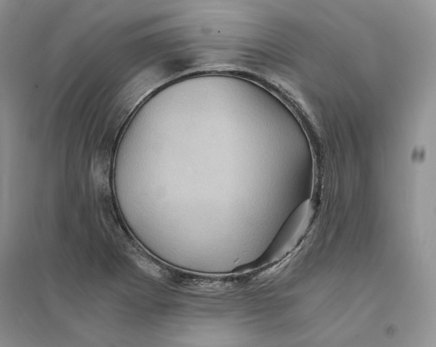 X0000094451273200711291651