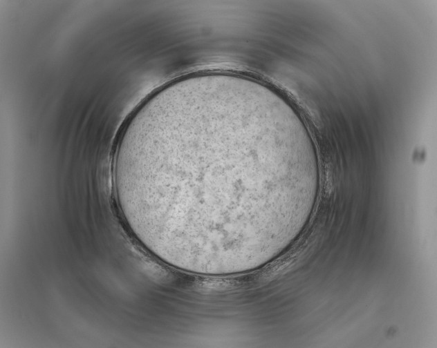 X0000094451274200711291651