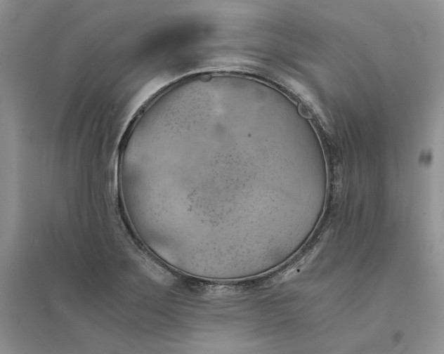 X0000094451275200711291651