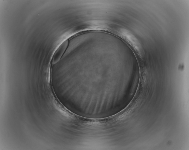 X0000094451276200711291651