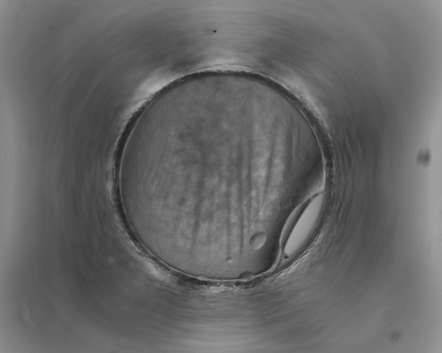 X0000094451277200711291651