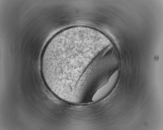 X0000094451280200711291651