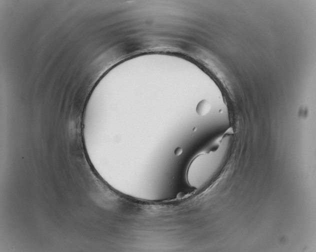 X0000094451281200711291651