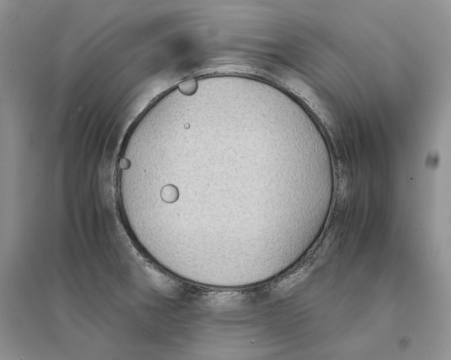 X0000094451282200711291651