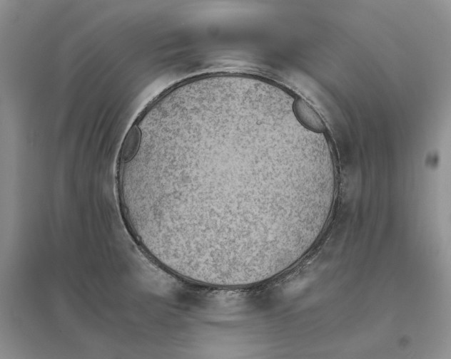 X0000094451283200711291651