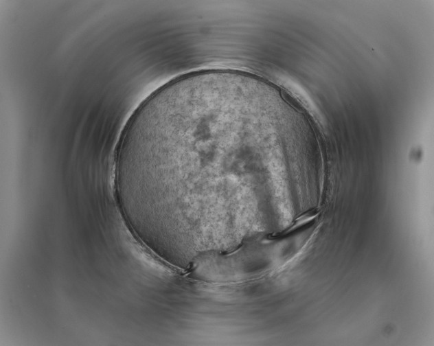 X0000094451284200711291651