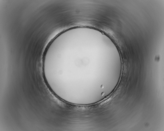 X0000094451286200711291651