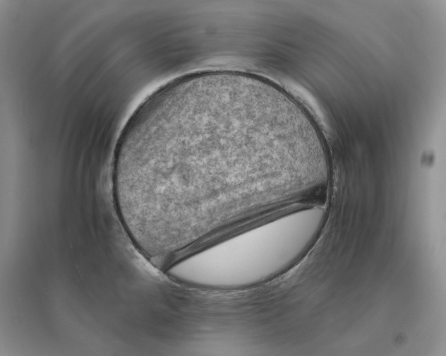 X0000094451288200711291651