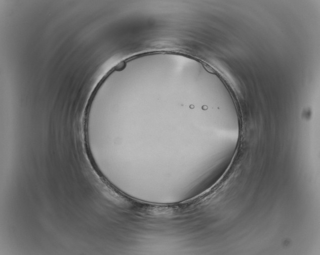 X0000094451291200711291650