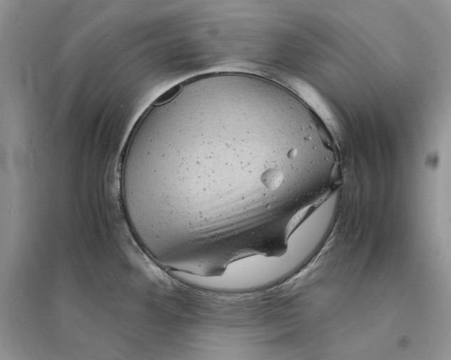 X0000094451292200711291650