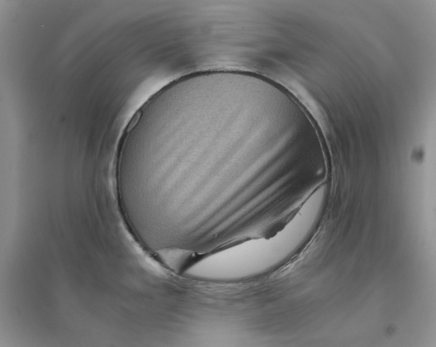 X0000094451293200711291650