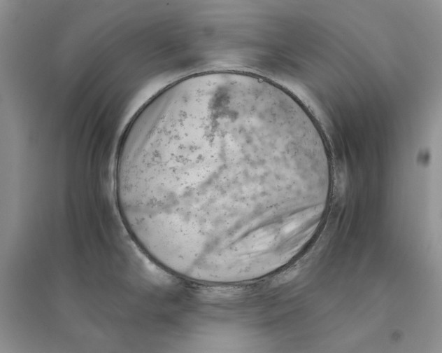 X0000094451294200711291650