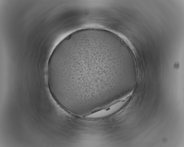 X0000094451295200711291650